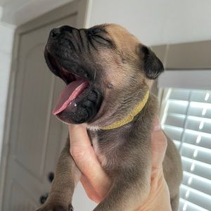 Meet your Posher, Tiffany